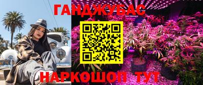 соль ск Жуковский